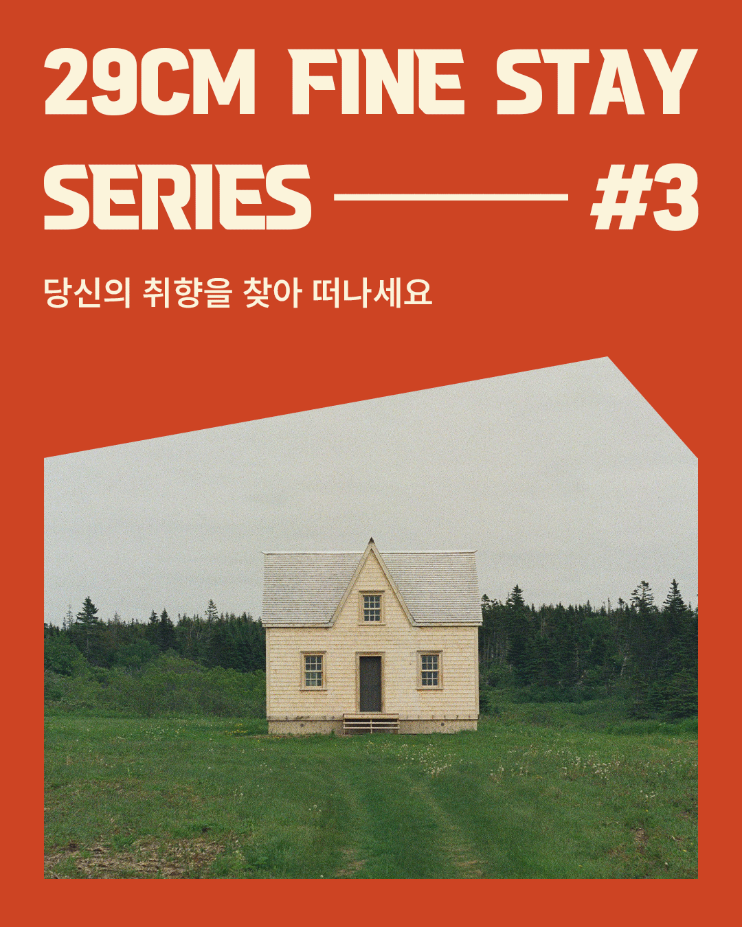 디자인이미지