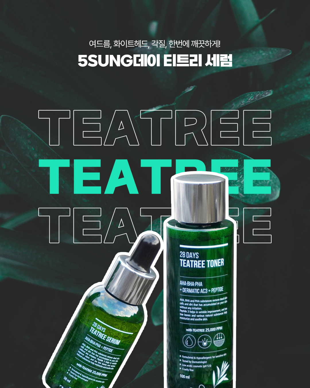 디자인이미지